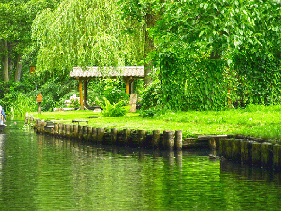 Jahresausflug Cottbus/Spreewald/Berlin 2015
